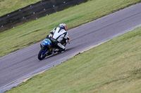 PJ-Motorsport-2019;anglesey-no-limits-trackday;anglesey-photographs;anglesey-trackday-photographs;enduro-digital-images;event-digital-images;eventdigitalimages;no-limits-trackdays;peter-wileman-photography;racing-digital-images;trac-mon;trackday-digital-images;trackday-photos;ty-croes